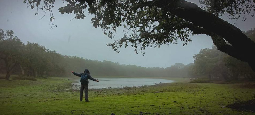 Scenic Hike at the Sejnane Forest